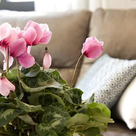 דירה Apartment Calle Postigo De Zarate (Adults Only)